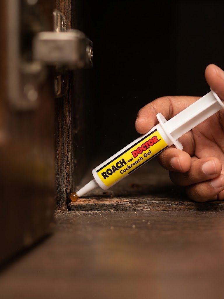 Applying a small dot of Roach Doctor gel behind a kitchen cabinet crack